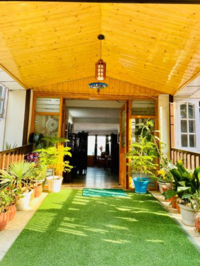 Sai Cottage Shimla